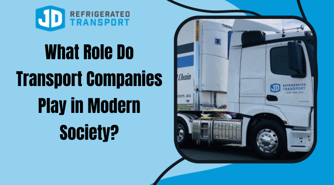 What Role Do Transport Companies Play in Modern Society?